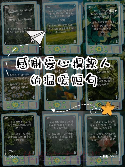 贝林厄姆：感谢为我投票和一路支持我的人